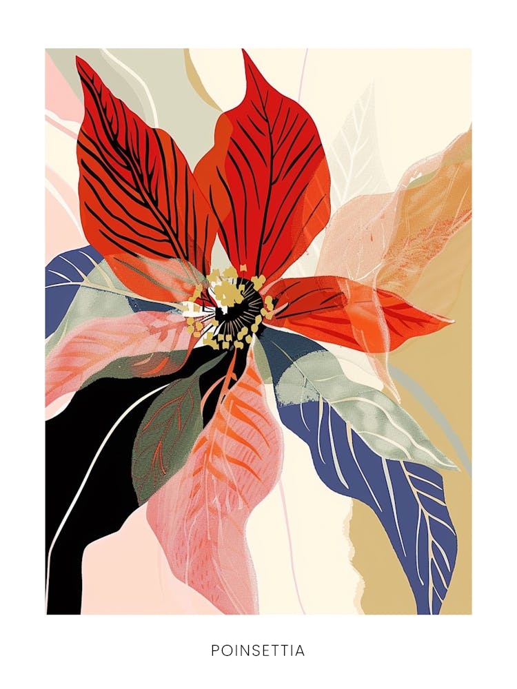 Colourful Flower Illustration Poster Poinsettia 4