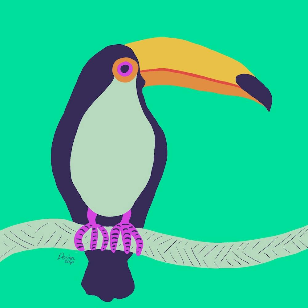 Toucan