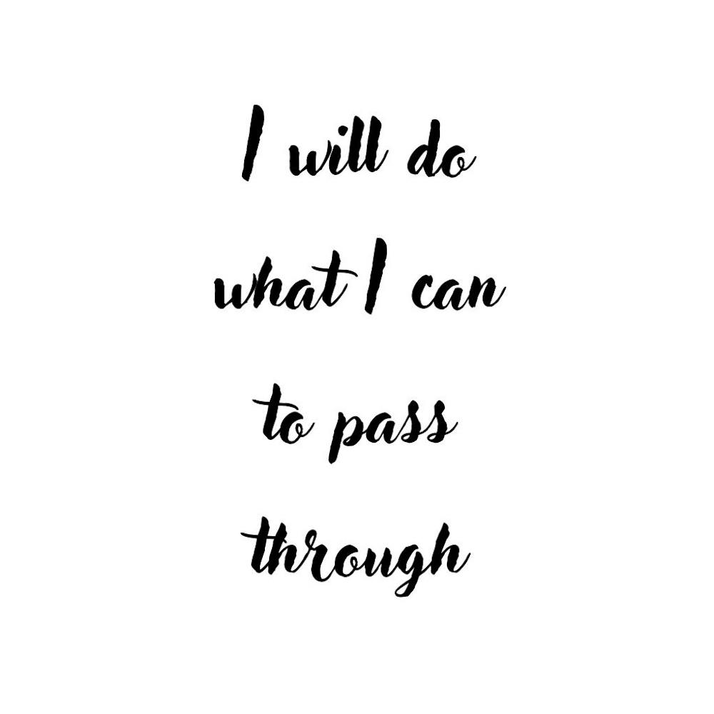 I will do what I can to pass through | Simple Quote with white background