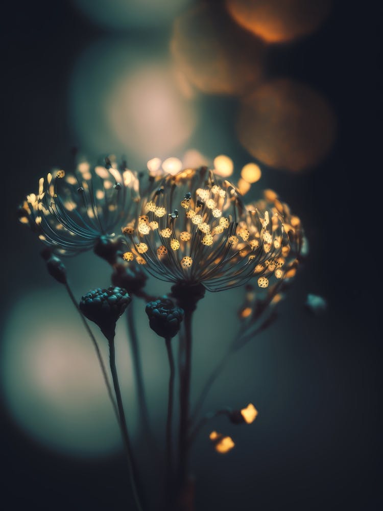 Glowing Dots