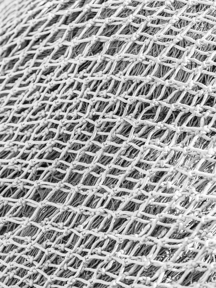 Black And White Image Of A Net