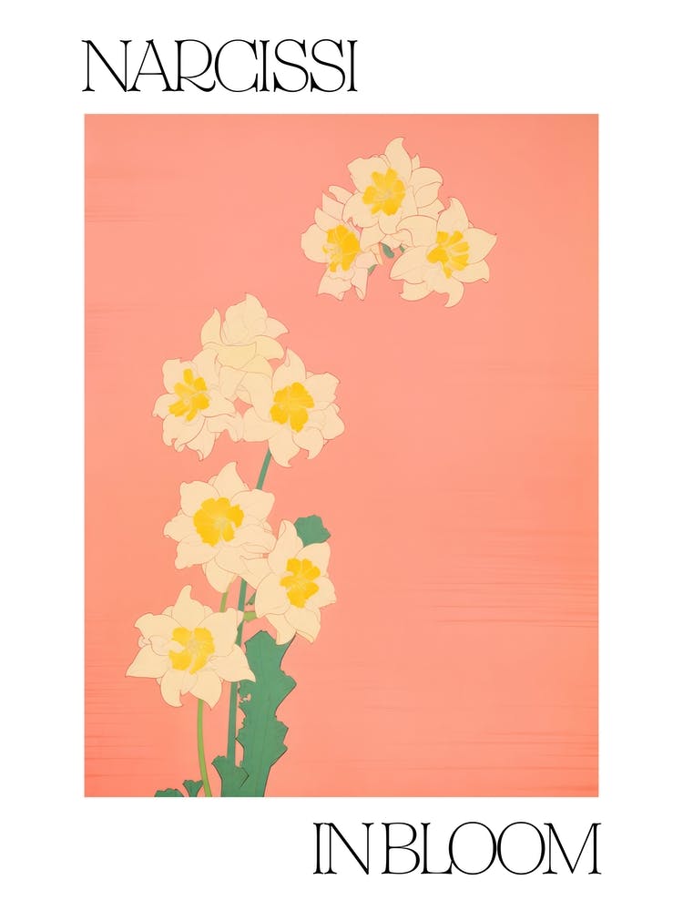 Narcissi In Bloom Flowers Bold Illustration 2