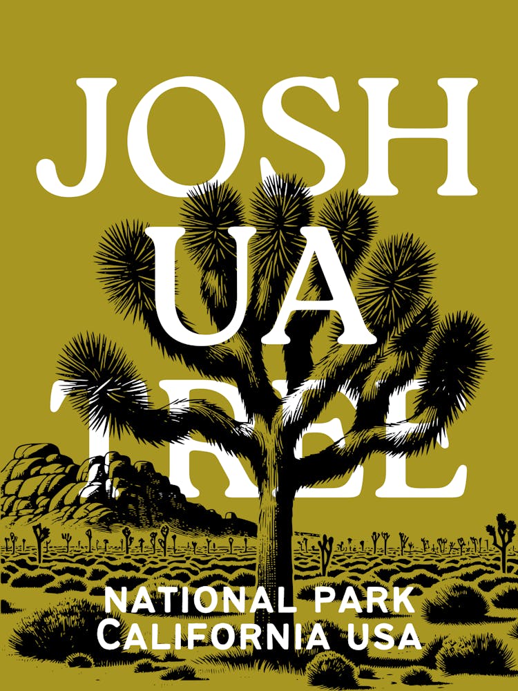 Joshua Tree National Park | California Desert Travel Landscape Scenery 3