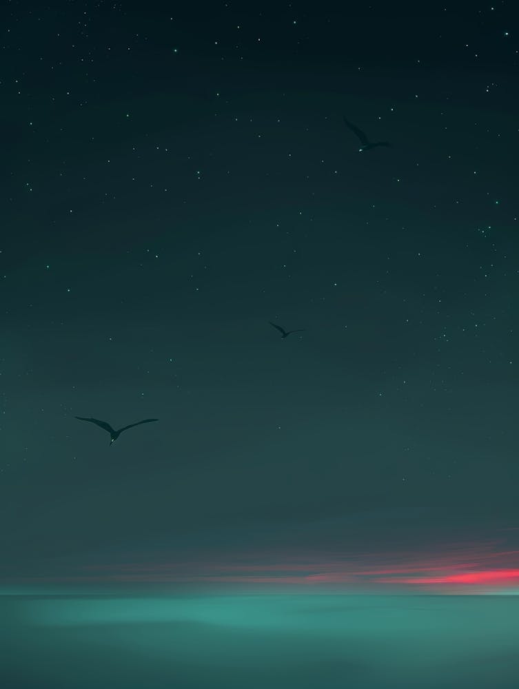 Sunset At Night