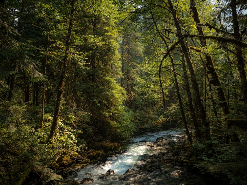 North Fork Cascade River