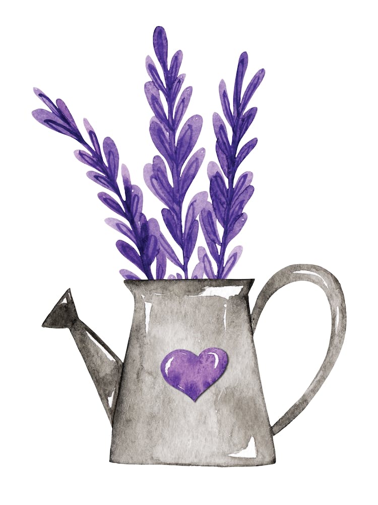 Watercolor provence Lavender Watering Can
