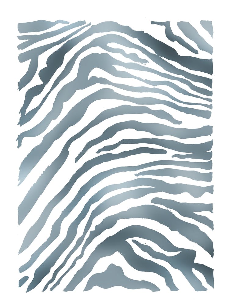 Zebra Blue