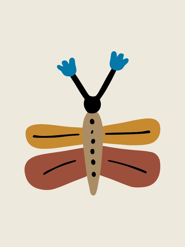 butterfly