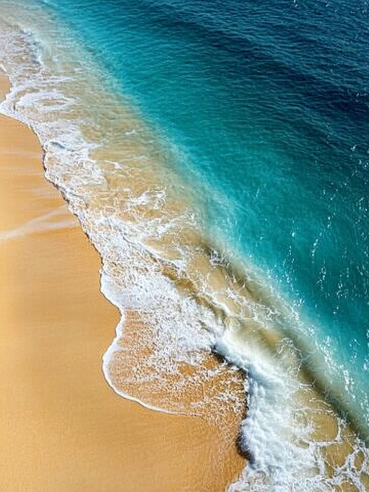Beach And Ocean Canvas Print