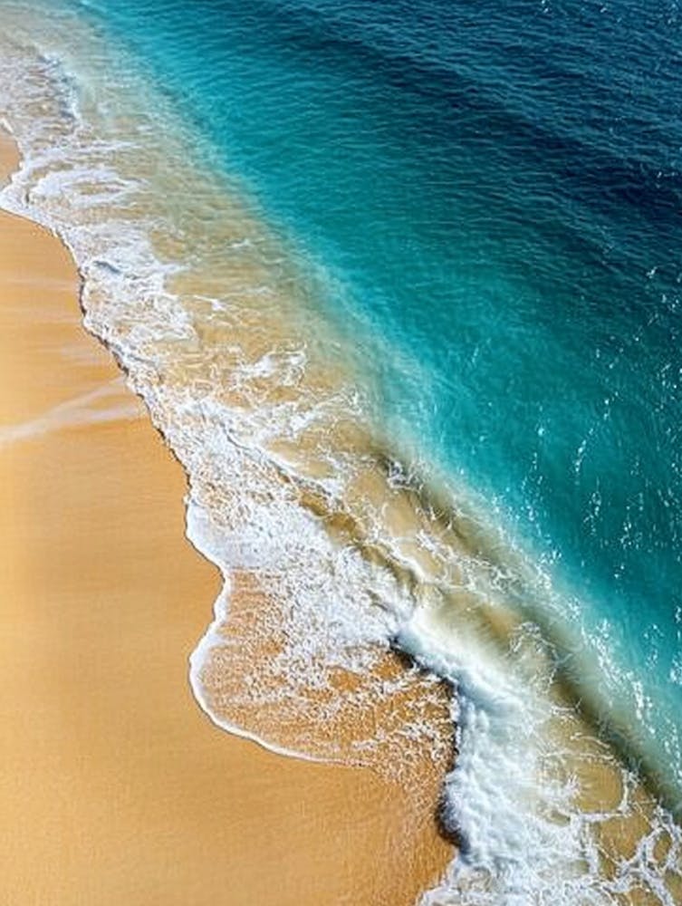Beach And Ocean Canvas Print