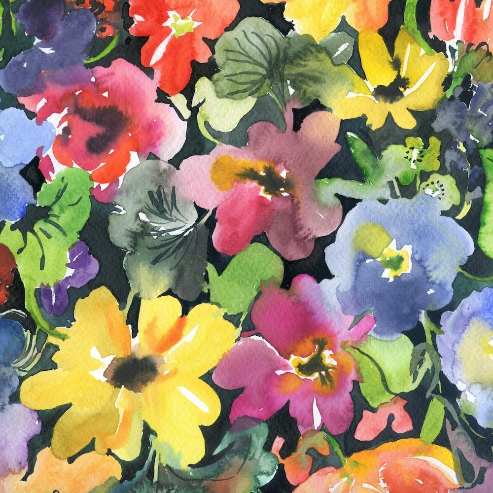Pansies in night