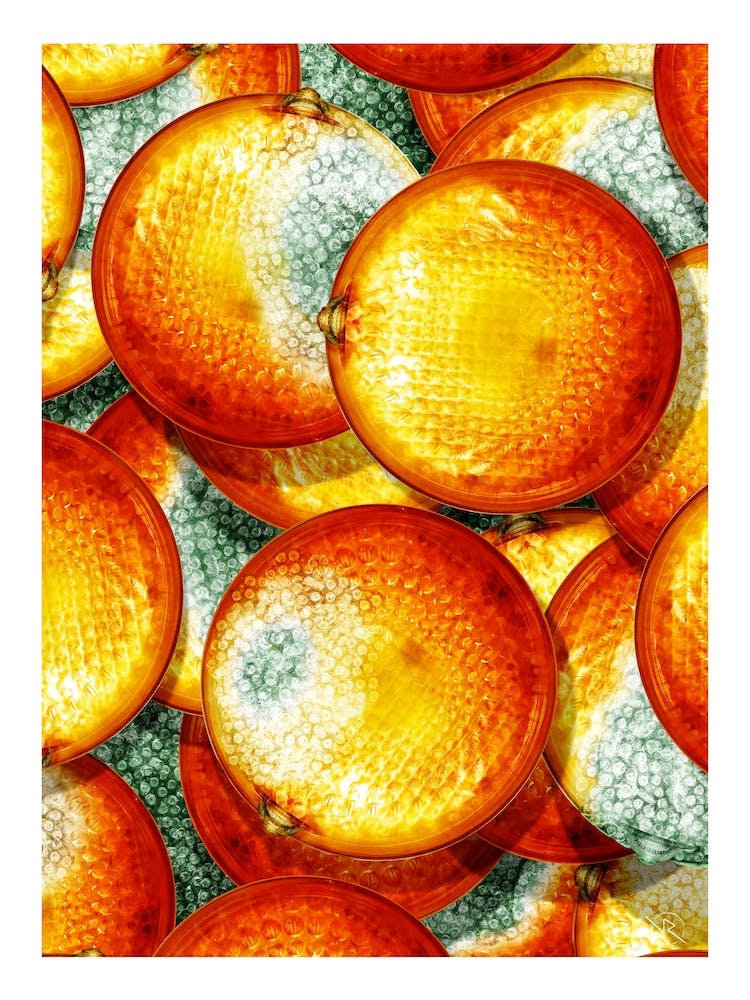 Cheaps Oranges