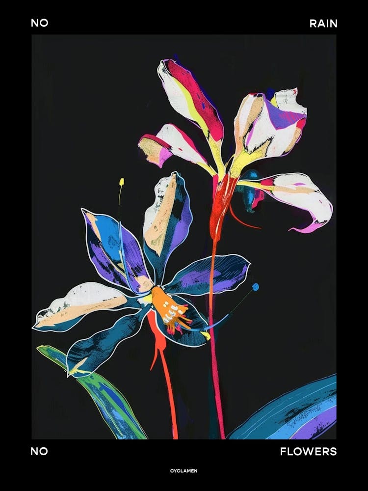 No Rain No Flowers Poster Cyclamen 2