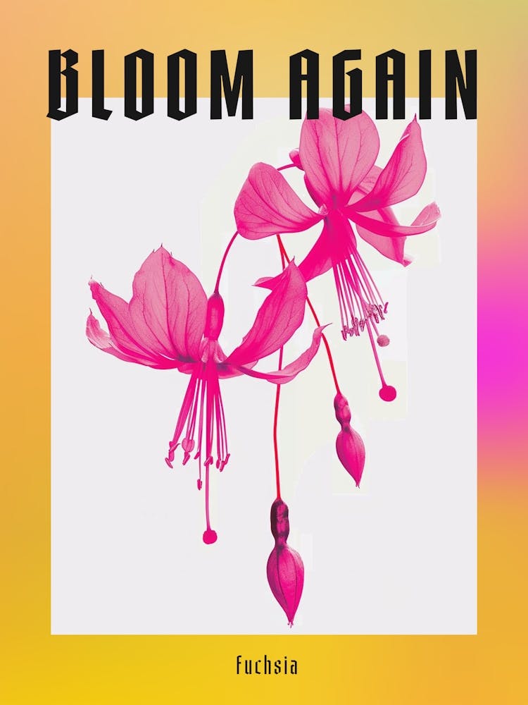 Hot Pink Fuchsia 1 Poster