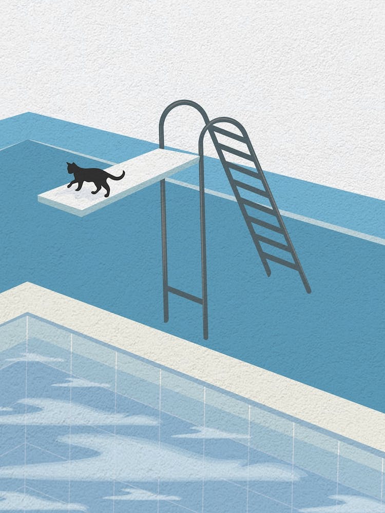 Vintage Minimal Art Cat on The Pool