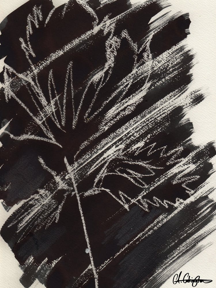 Black And White Leaf Ink