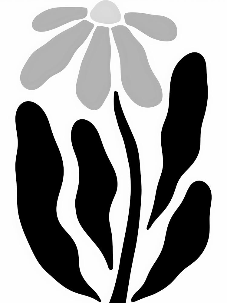 Flower In Black And White 3