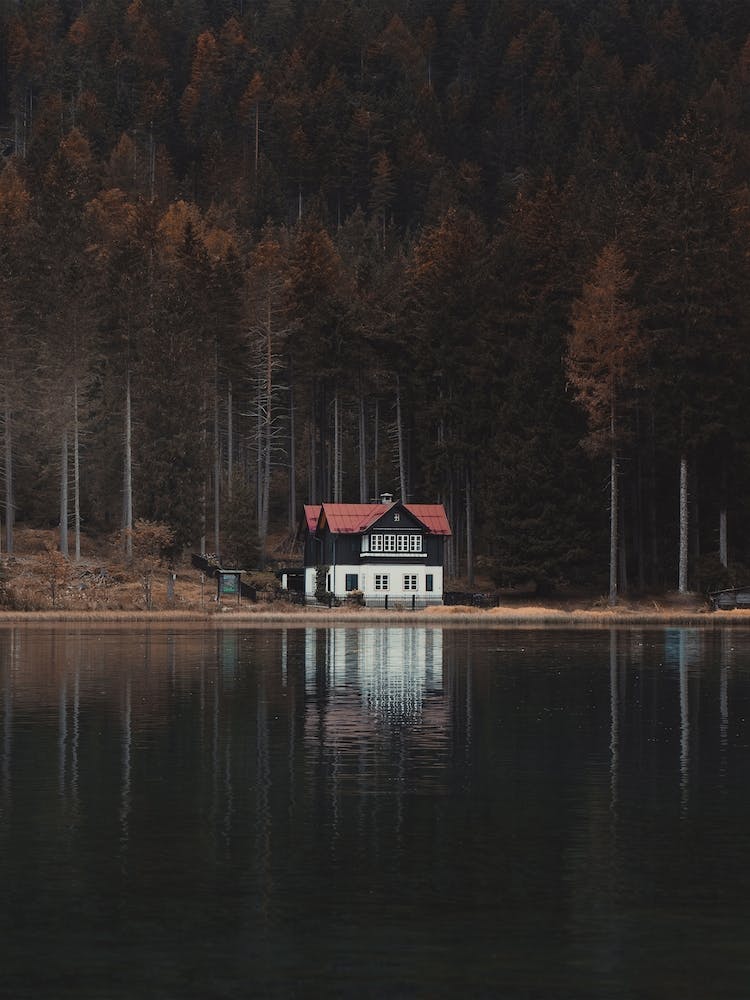 Woodland Cabin On Lake