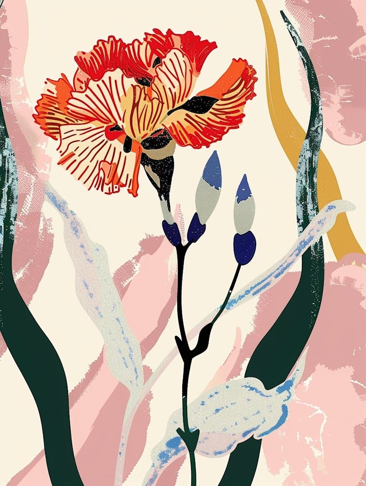Colourful Flower Illustration Carnation Dianthus 2