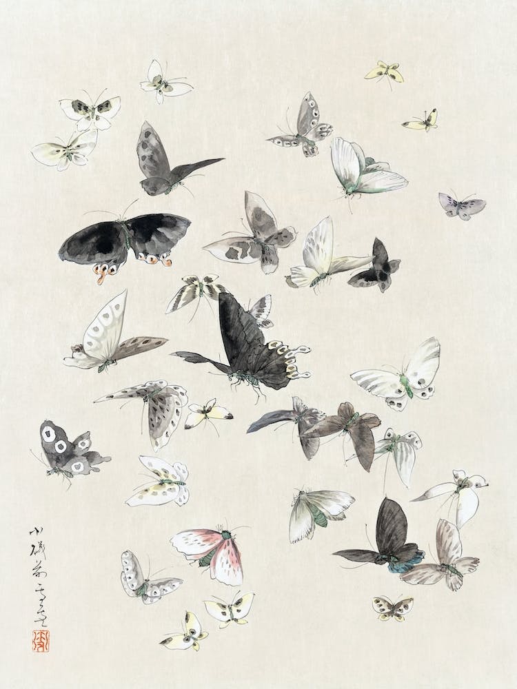 Butterflies And Moths, Katsushika Hokusai