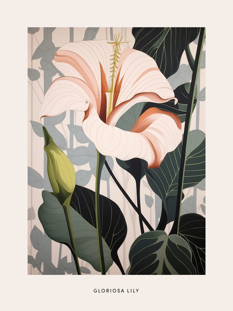 Flower Illustration Gloriosa Lily 4 Poster