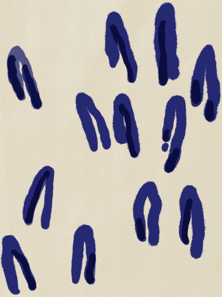 Blue Footprints