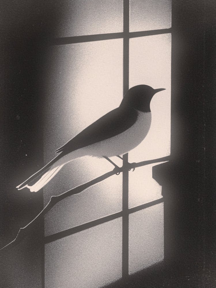 Vogel im Fenster 1