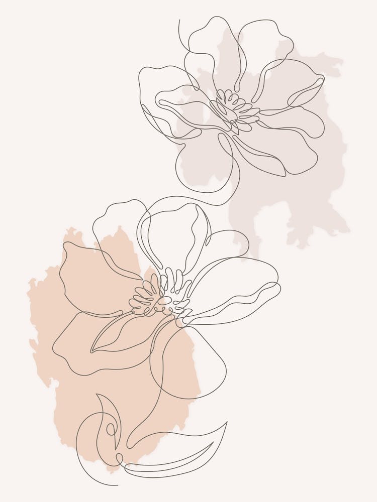 Minimal Line Art Flowers and Watercolor Backdrop