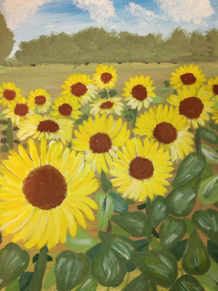 Sunflowers