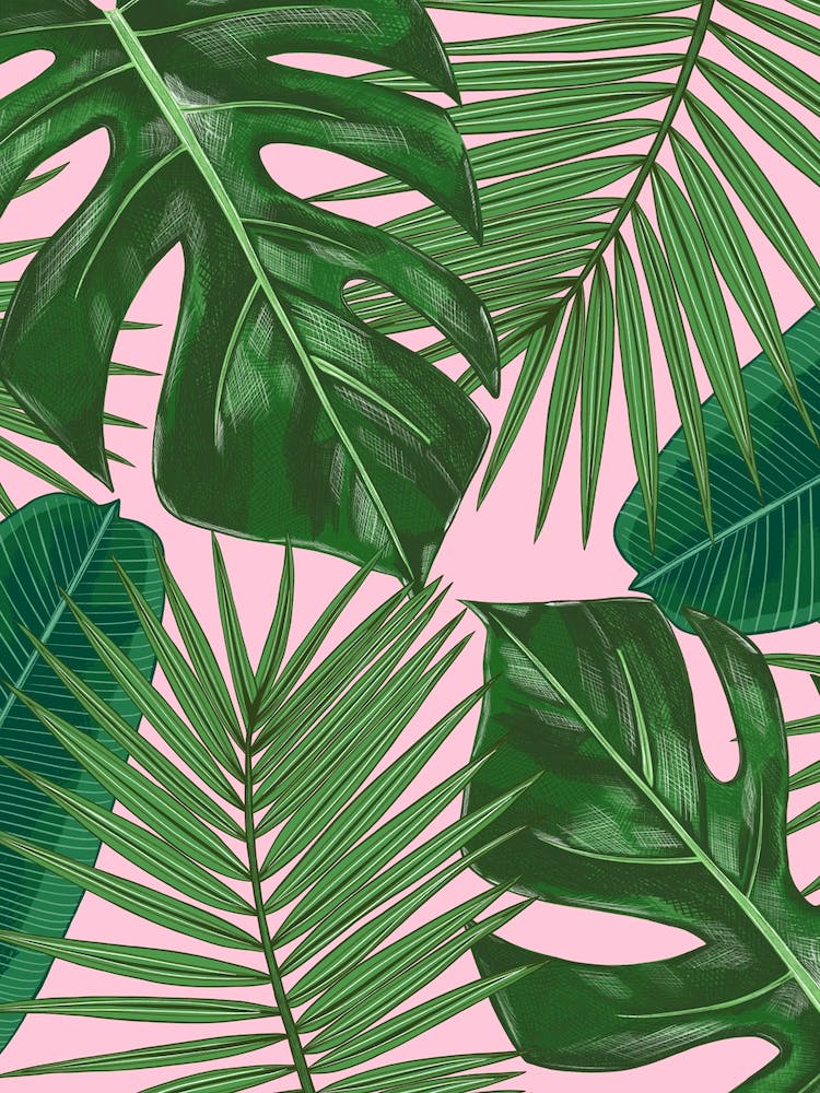 Tropical Leaves On Pink Background 1