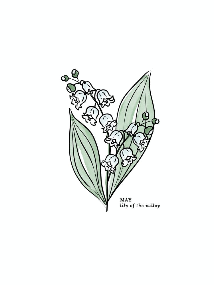 May Lily of the Valley Birth Flower 1