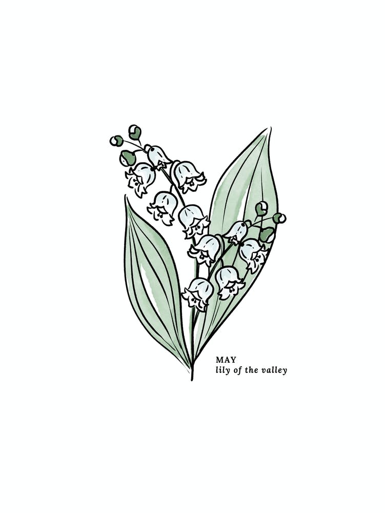 May Lily of the Valley Birth Flower 1