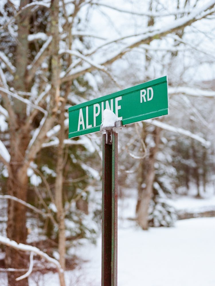 Upstate New York Snow IX on Film