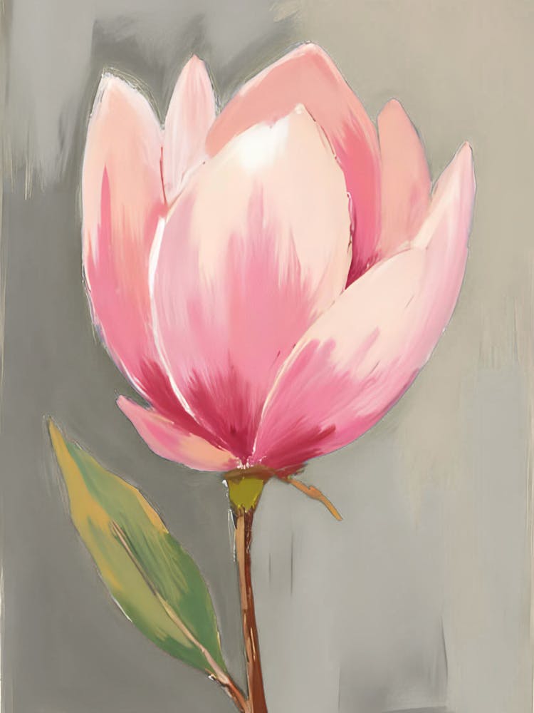 Magnolie 12