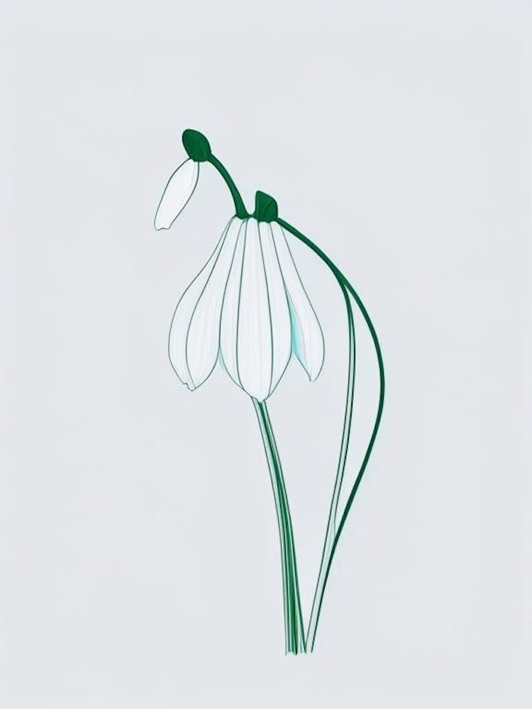Dessin au Trait Minimaliste de Perce-neige Floral 2 Fleurs
