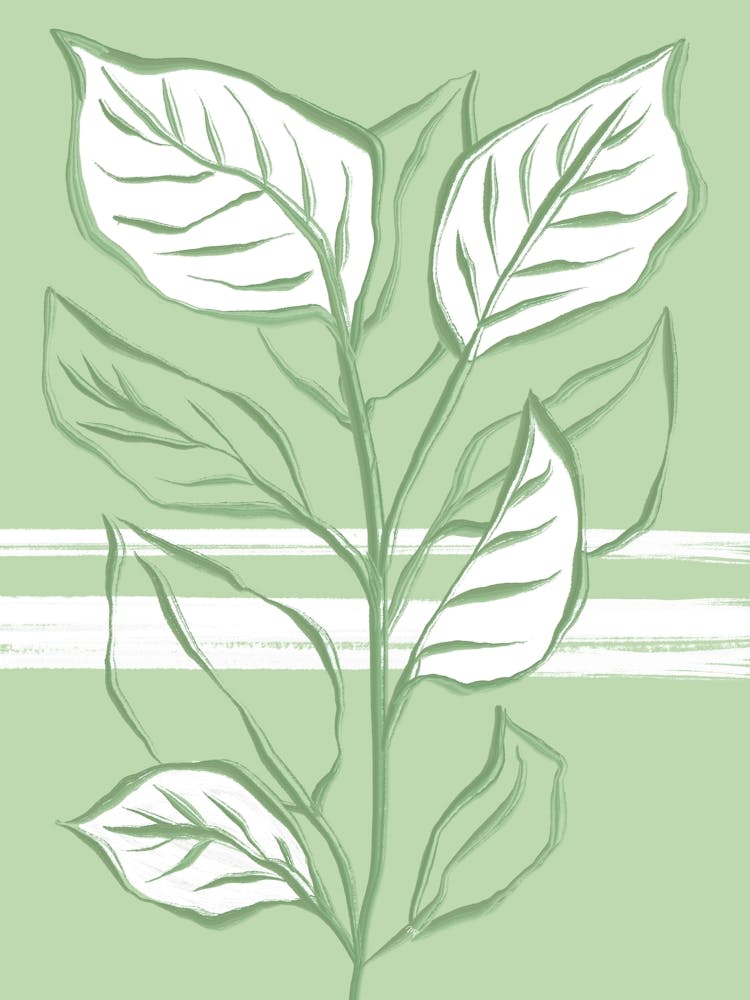 Big Green Plant