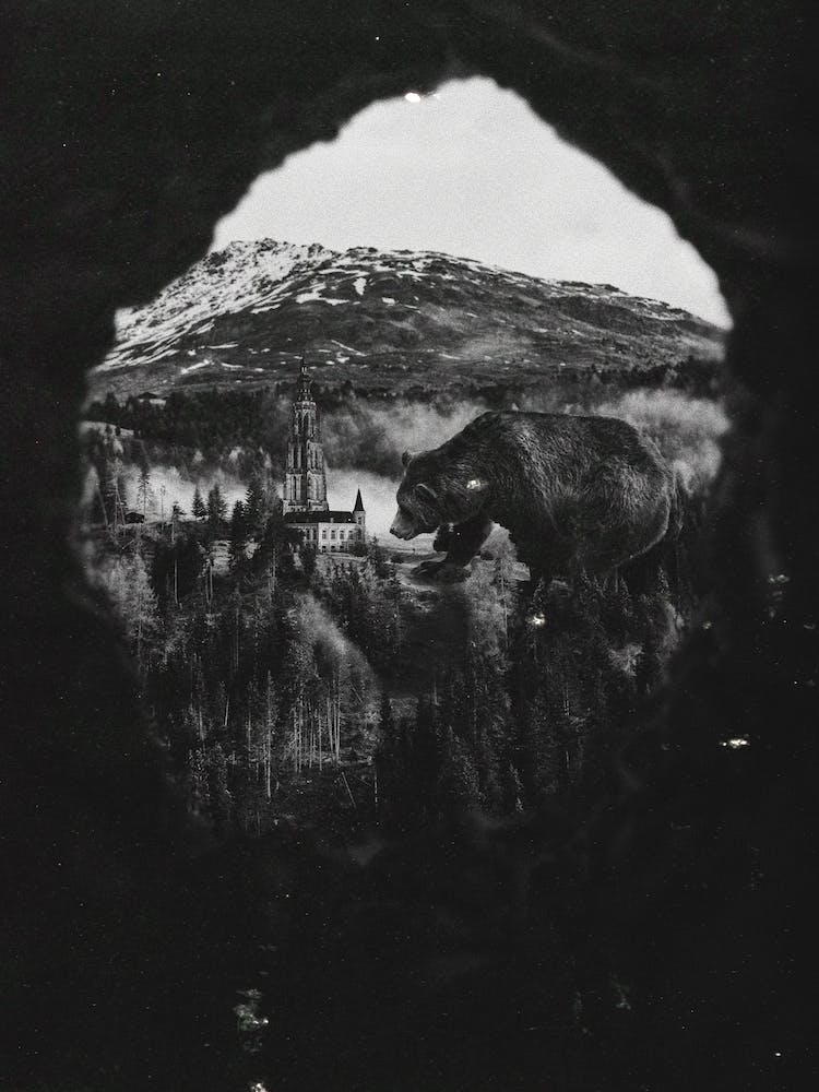 The Bears Came At Night