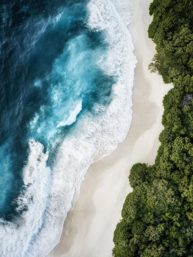 Aerial View Of A Tropical Beach 4