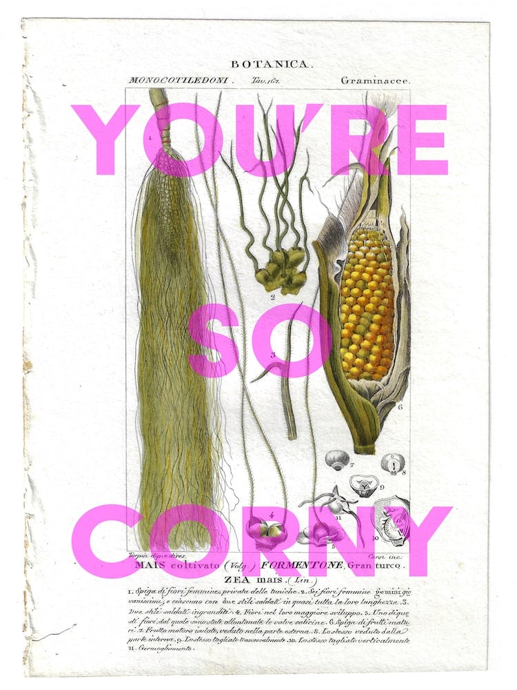 You're So Corny Vintage Corn