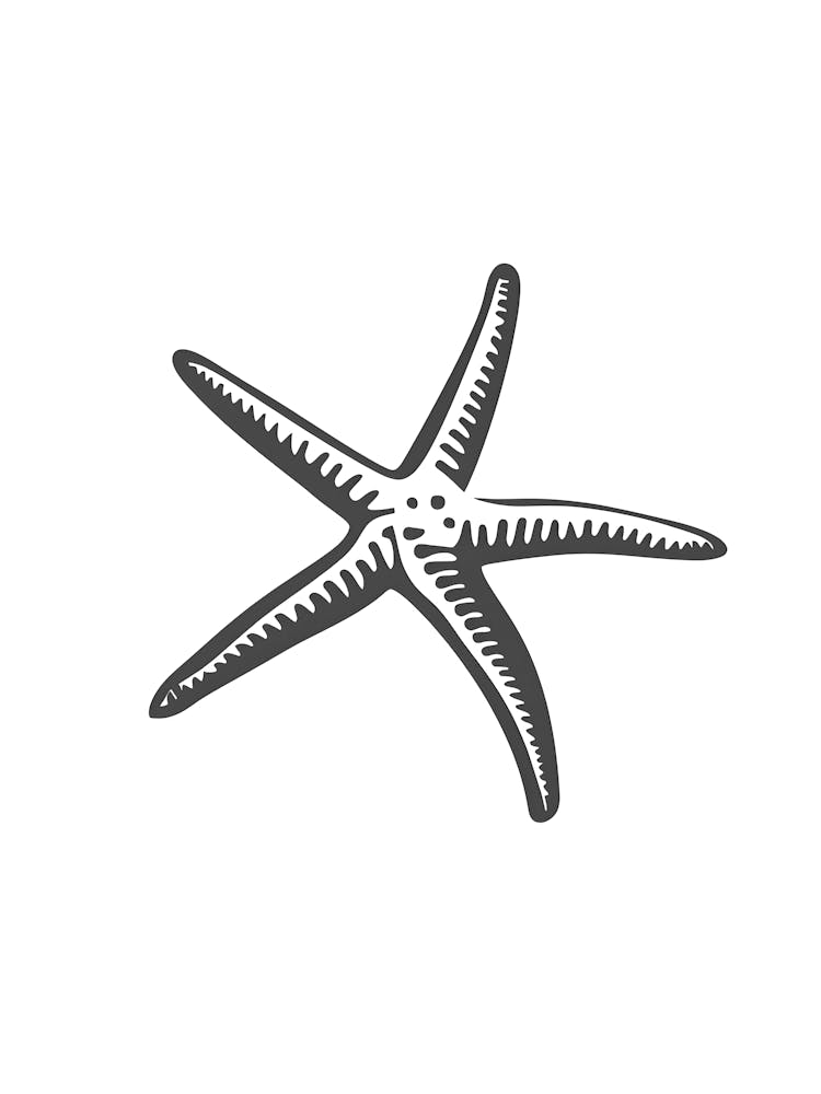 Starfish 12