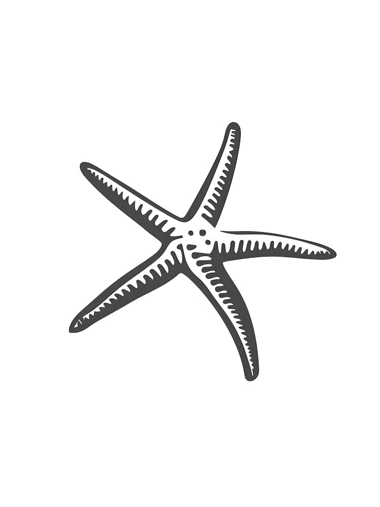 Starfish 12