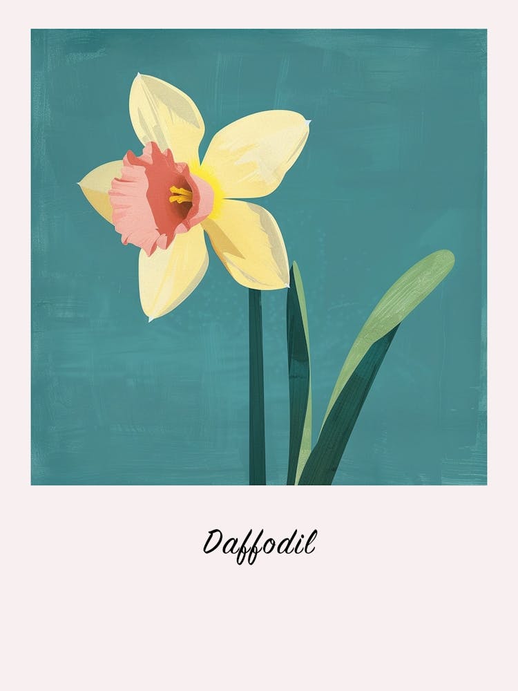 Daffodil 1 Square Flower Illustration Poster