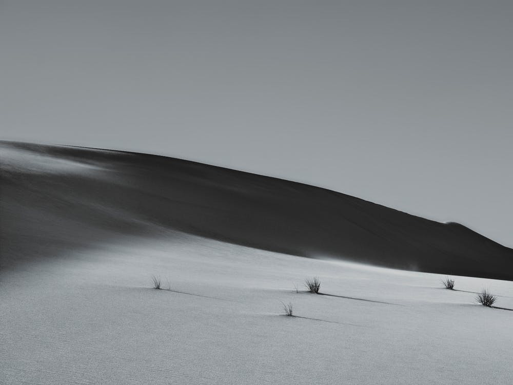 The Shadows Of The Dune