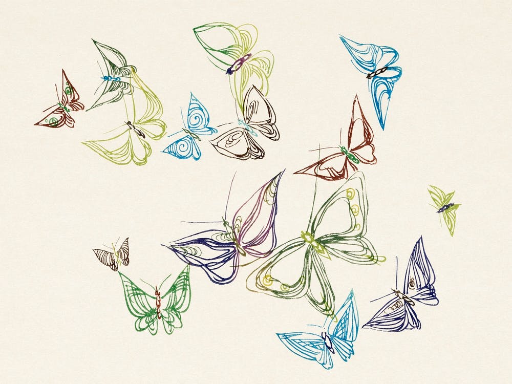 Vintage Butterfly, Cho Senshu 1