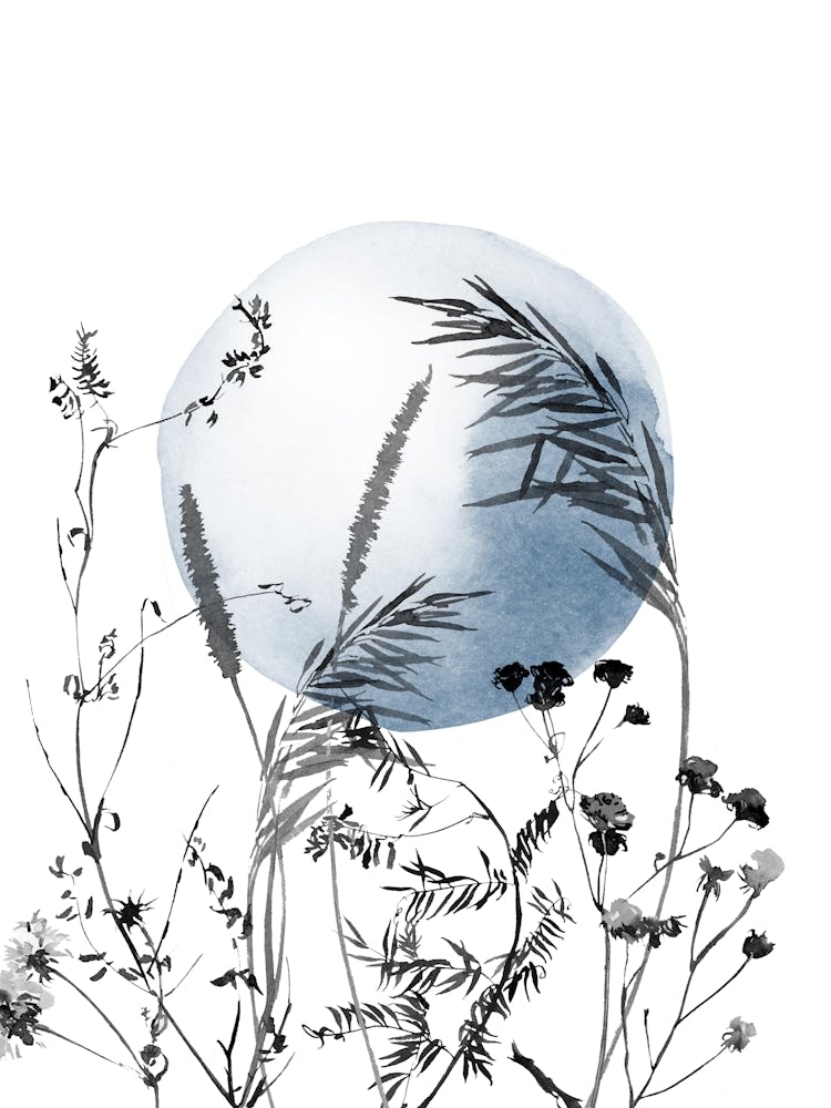 Abstract Wildflowers and Moon in Blue and White, Meadow