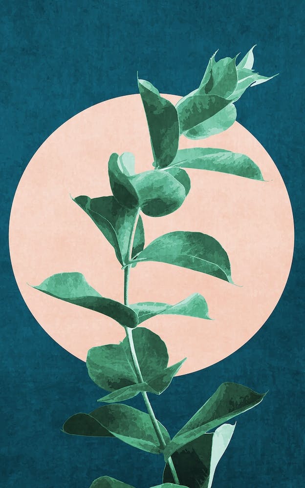 Botanical 3