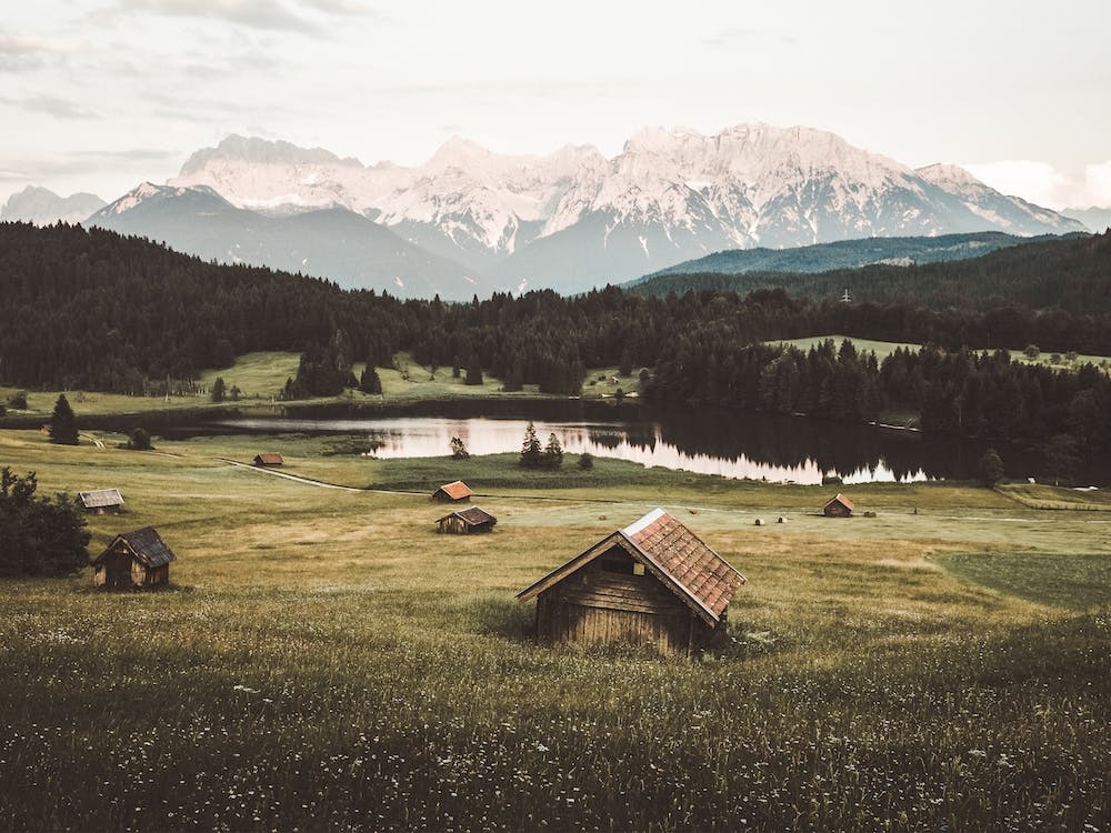 Rustic Cabin In Meadow
