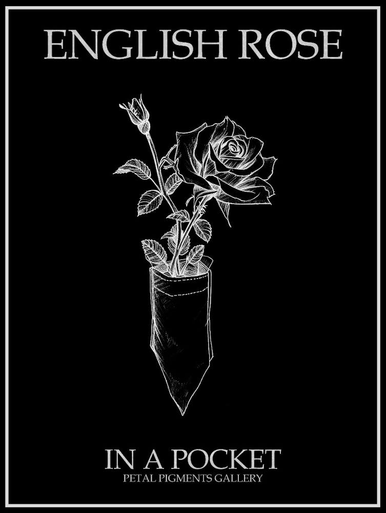 English Rose In A Pocket Line Drawing 4 Poster Inverted