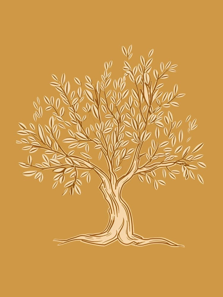 Olive Tree Minimalistic Drawing 3