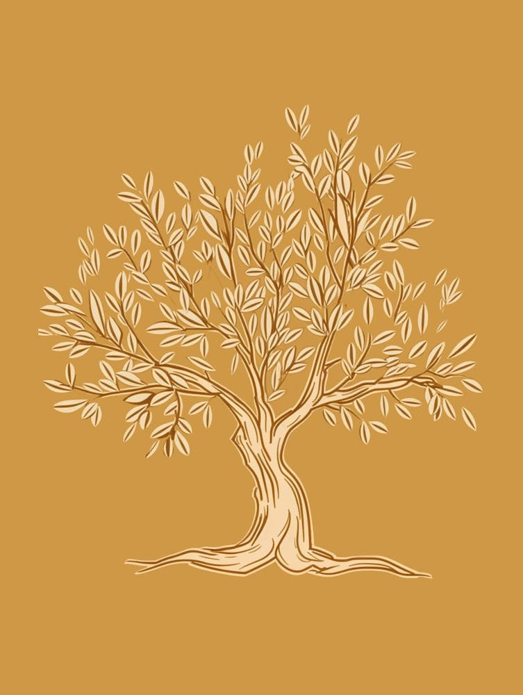 Olive Tree Minimalistic Drawing 3